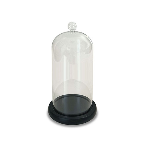 Campana vidrio base madera Maison